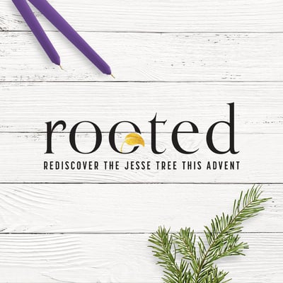 Rooted_Social_1080x1080Artboard 1 copy